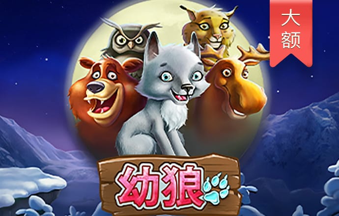 11133宝典下载